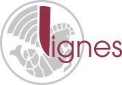 Logo CSE